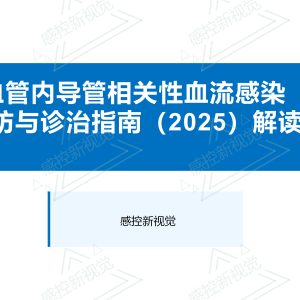 【PPT】血管内导管相关性血流感染预防与诊治指南（2025）解读 ...